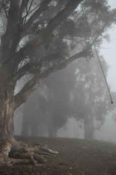 389599_10101147322283749_151167221_n